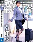 憧れのスチュワーデスと性交 南條彩