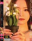 ヤンデレギャルは彼を得る為なら手段を選ばない スノードロップのように美しく危険な愛 成望るか